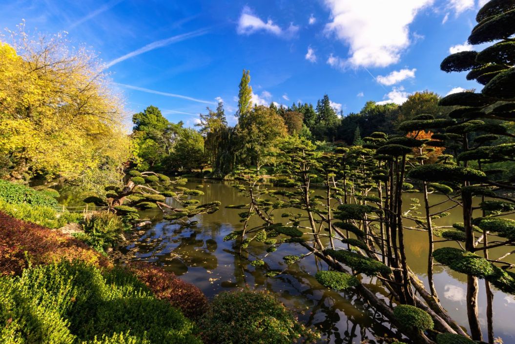 wp-content/uploads/2019/10/Parc-Oriental-de-Maulevrier.jpg